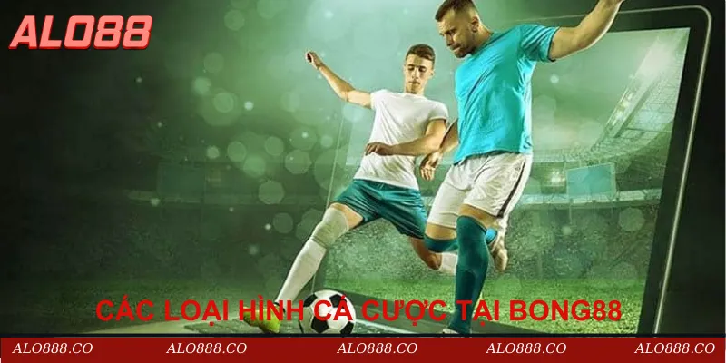 Các loại hình cá cược nổi bật tại Bong88 (Alo88 hợp tác cùng Bong88)